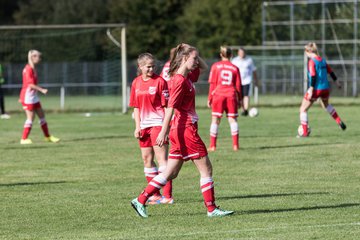 Bild 28 - Frauen Schmalfelder SV - TuS Tensfeld : Ergebnis: 8:1